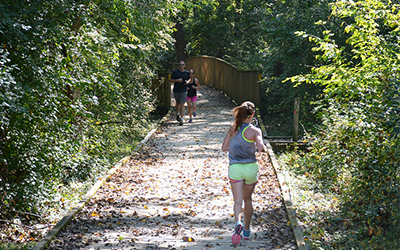 Three people running on a boardwalk surrounded by trees and shade.