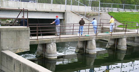 Fishermen at the Locks