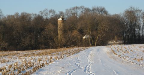 Winter Trail