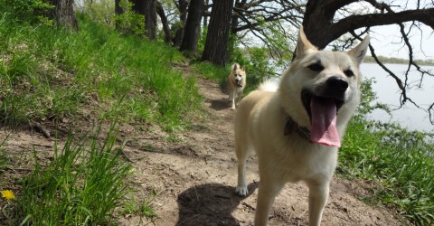 Enjoying the Trail