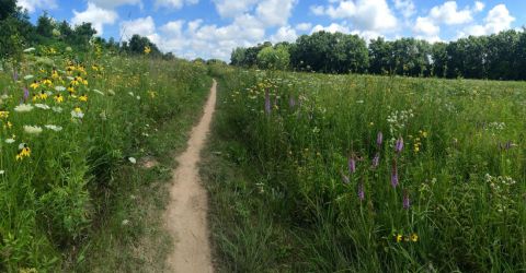 Mountain Bike Trail