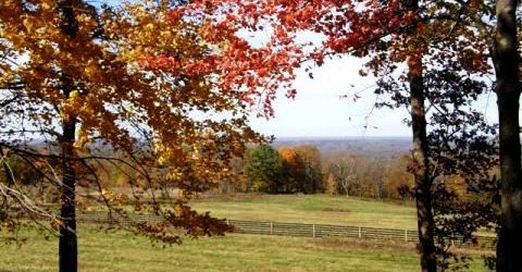 View from Brigham County Park