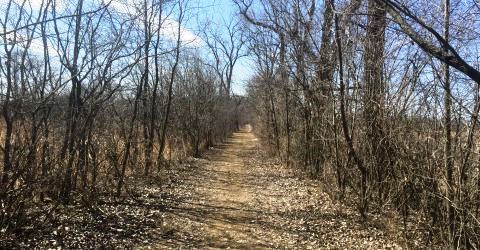 Lower Yahara River Trail Corridor