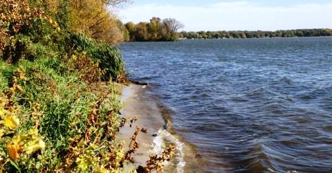 Shoreline along Lake Kegonsa