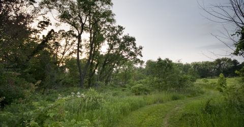 Trail (courtesy R. Farrell)