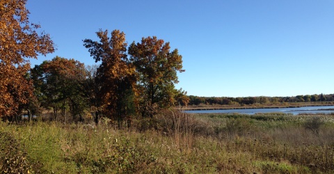 Autumn View