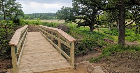 Bridge on the Trail