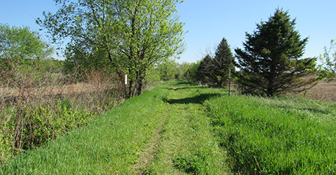 Walk-In Access Path