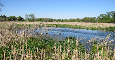 Token Creek Wildlife Area