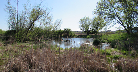 Token Creek Wildlife Area
