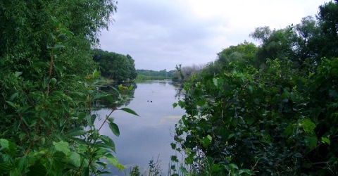Scenic View of the Yahara River