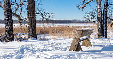 Winter courtesy John Kalson