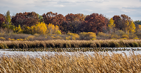 Autumn courtesy John Kalson