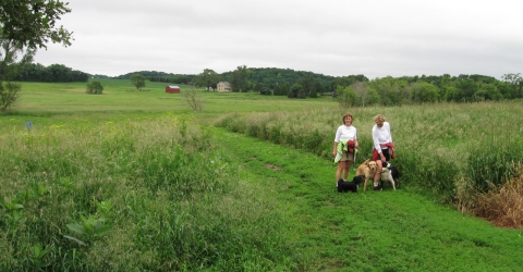 Dog Exercise Area