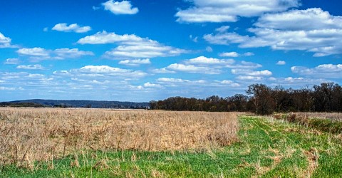 Grasslands Along the Trail