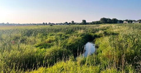 Waunakee Prairie