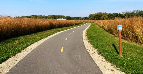 Trail View Through the Prairie