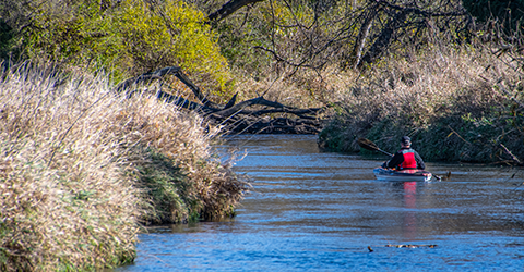 Paddling the Sugar River