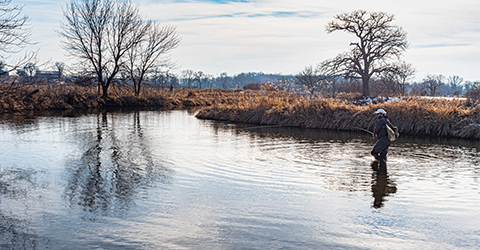 Fishing on the Sugar River