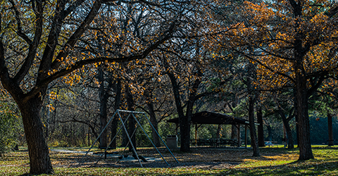 Shelter and Play Area