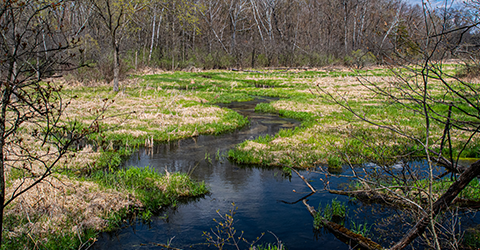 Marsh Creek