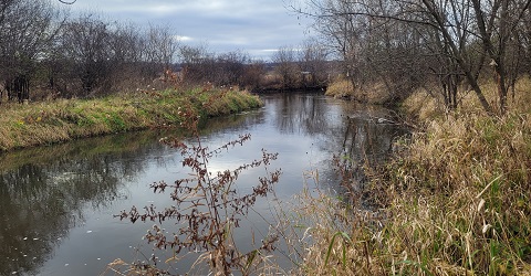 View of Black Earth Creek