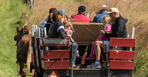Wagon Ride