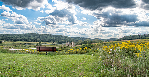 Scenic View