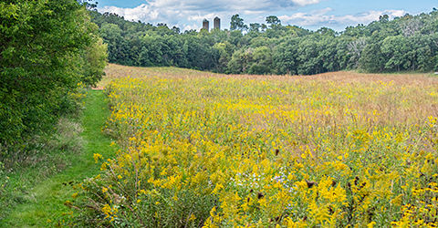 Prairie Trail