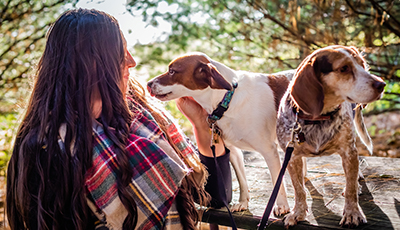 Dogs at Prairie Moraine County Park