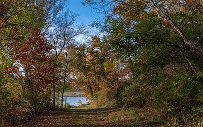 Trees with fall colors near lake