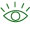 Eye Icon