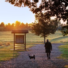 A person walking a dog on a gravel path near a park sign, with trees and a field at sunrise in the background.