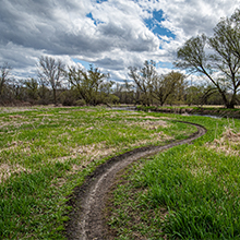 Friends of CamRock Park