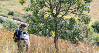 Volunteer collecting seed in prairie 