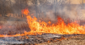 A prescribed burn at a prairie.