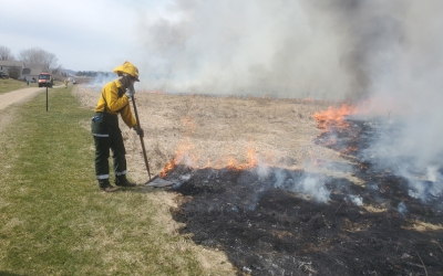A volunteer using a flapper to stop fire creeping into mown grass.