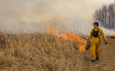 volunteer using a drip torch to light fire along a prairie edge