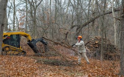 A volunteer throws brush onto a pile that will be picked up by a skid steer and grapple 