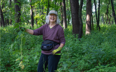 A very happy volunteer with a handful of invasive Japanese Hedge Parsley removed from Lake View Hill County Park.