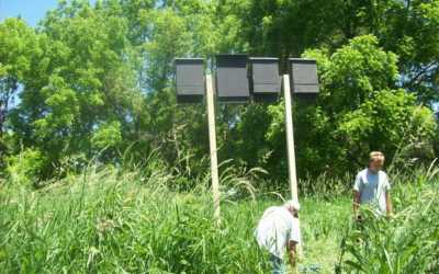 A set of black bat houses installed for bat roosting habitat.