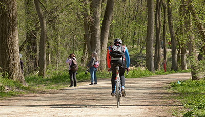 People biking and walking along a trail through the woods