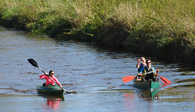 People canoeing and kayaking on a river