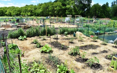 Community Garden at Badger Prairie County Park (credit Samantha Haas)