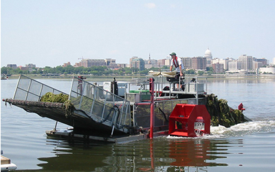 A person driving an aquatic plant harvester on a lake