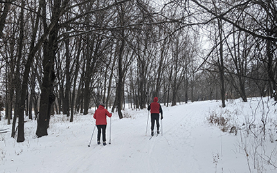 Two people skiing through a snowy trail in the woods