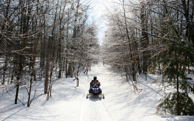 snowmobiling on a trail through woods