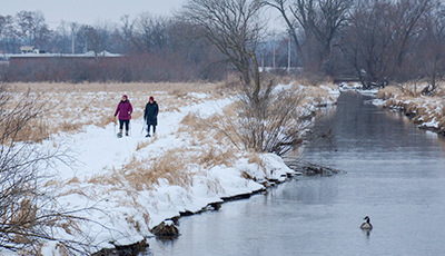 Two people snowshoeing along a creek with a goose swimming.