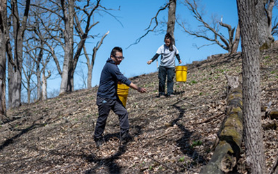 Two volunteers with yellow buckets spreading native seeds in a forested area.