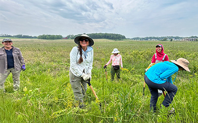 People using gardening tools in a field under a cloudy sky, surrounded by grass and plants.